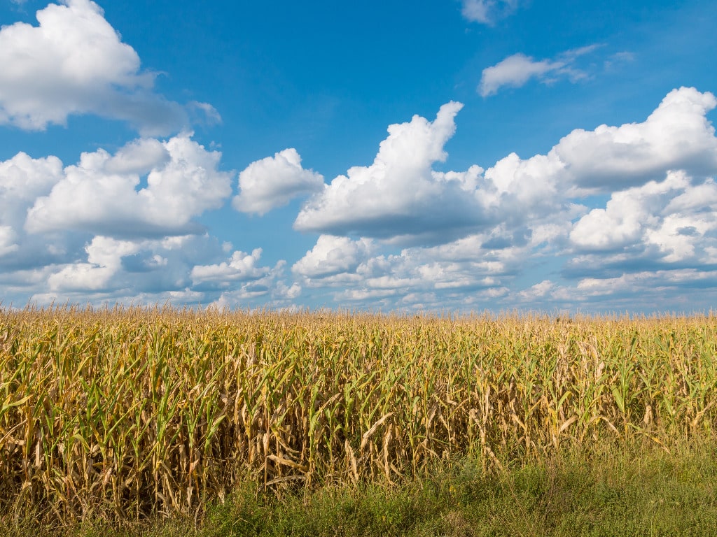 Why Kentucky Homeowners Choose Us